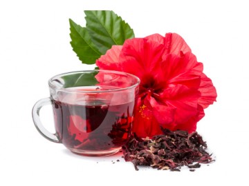 hibiscus