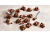 5710 Crunchy Bites Milk Chocolate_96dpi_1280x960px_E_NR-21946